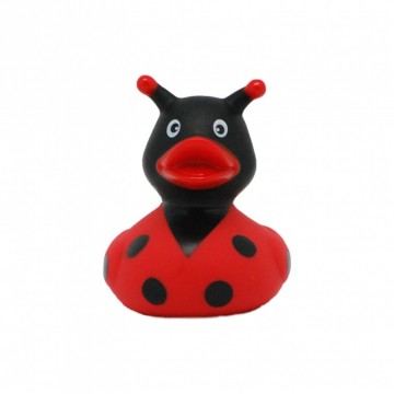 Lieveheersbeestje Eend LILALU