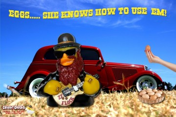 Cel10204 zz flock  eggs she knows how to usem   music 8 extra