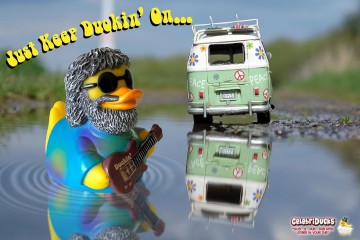 Cel81117 duckin   tie dye hippies and some good music what a long strange trip music usa 8 extra