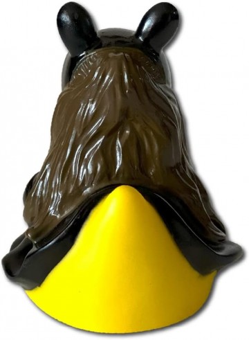 Cel81143 aviary grande   dangerous duck tour music 7