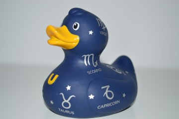 Dsc1120