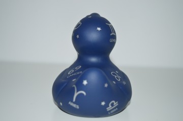 Dsc1132