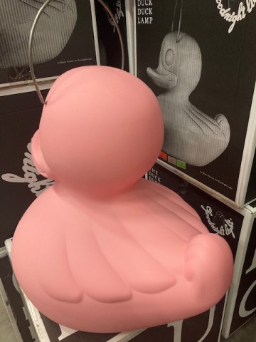 Img1689 pink3   kopie