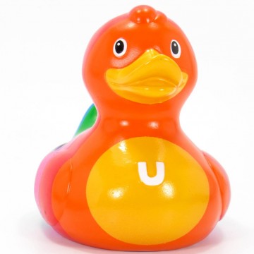 Rainbow rubber duck budduck 3 0