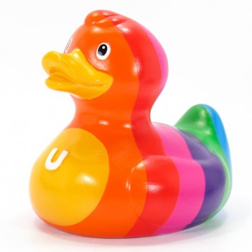 Rainbow rubber duck budduck 4