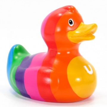 Rainbow rubber duck budduck 5
