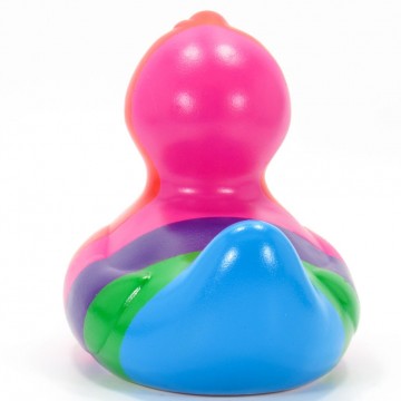 Rainbow rubber duck budduck 6 0
