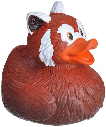 Wild republic badeendje 23216 red panda   rode pandabeer  eendje bij wwwjustducksnl